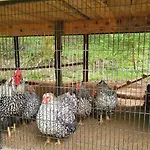 Etno Selo Bistrovo *