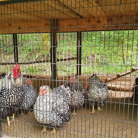 Etno Selo Bistrovo *